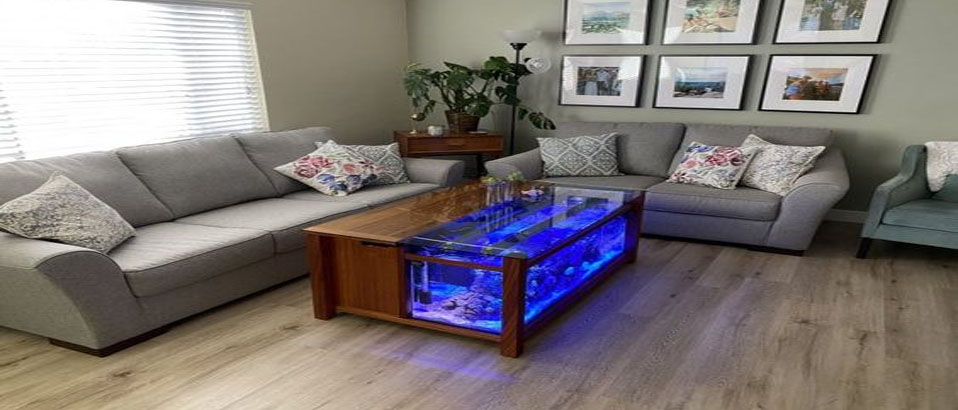 Living Room Aquarium 