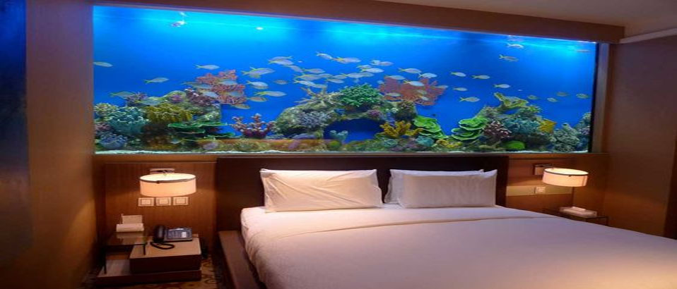 Bedroom Fish Tank