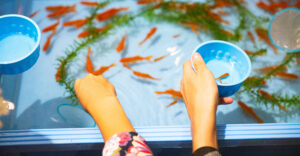 Read more about the article The Ultimate Guide to Aquarium Maintenance
